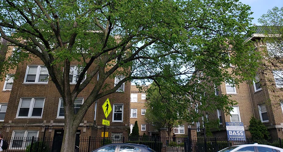 Chicago apartments for rent on Kimball